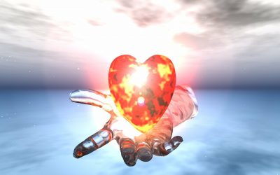 Tag 15 FollowUp